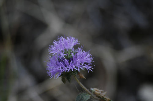 Canon EOS 30D DSLR Camera customer photo 1