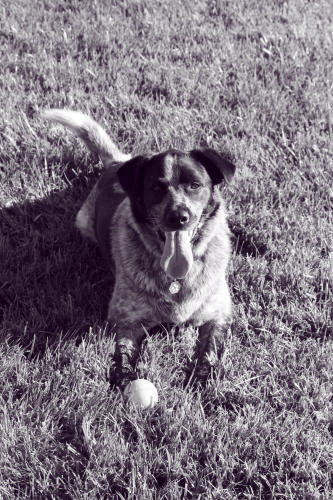 Canon EOS 30D DSLR Camera customer photo 2