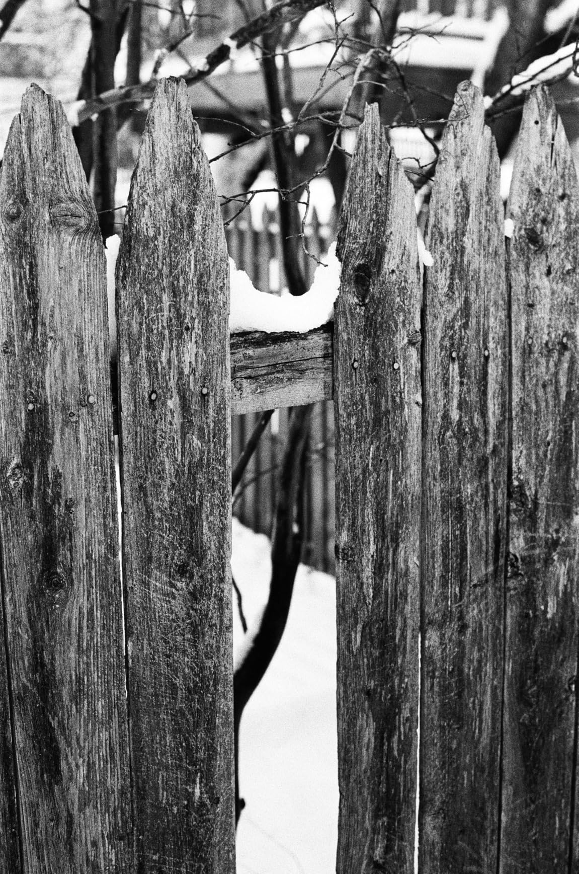 Tri-X 400TX Professional ISO 400, 36mm, Black and White Film customer photo 1