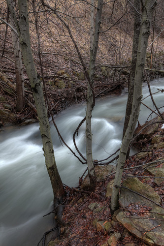 Canon EF 16-35mm f/2.8L II USM Zoom Lens for Canon EF Cameras customer photo 1