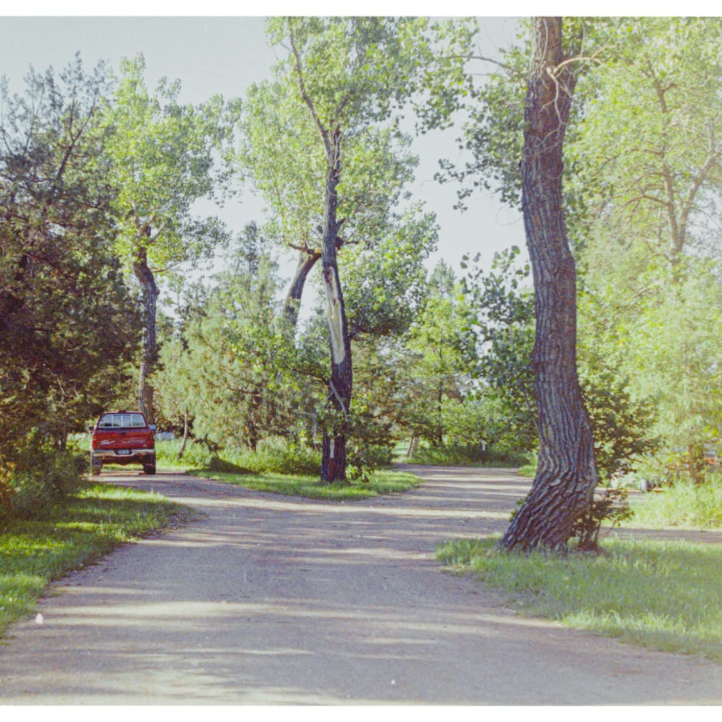 Fujifilm Fujicolor C200 35 mm 36 Exposure Colour Print Camera Film Twin Pack customer photo 2