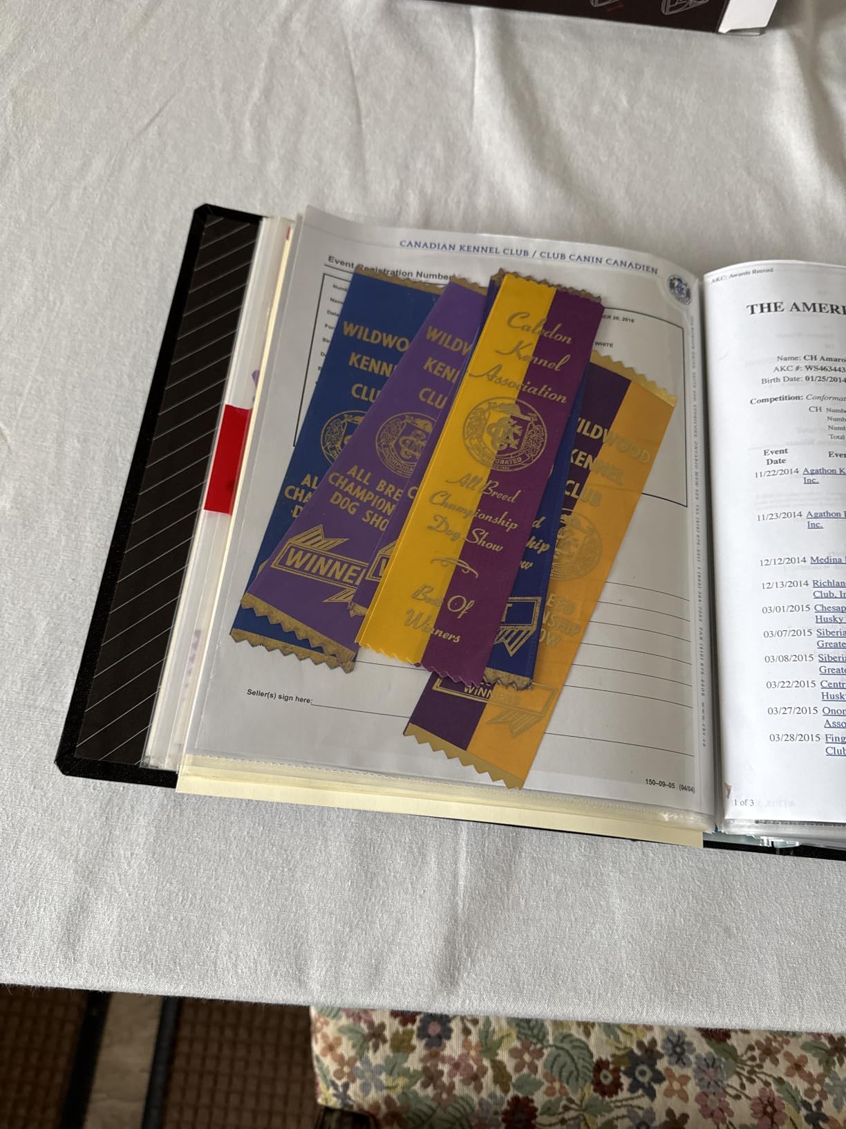 ProFolio by Itoya, SpringPost Binder - 5 Interchangeable Color-Coded Spines and 5 Tabbed Dividers, 2 Inch Paper Capacity customer photo 1