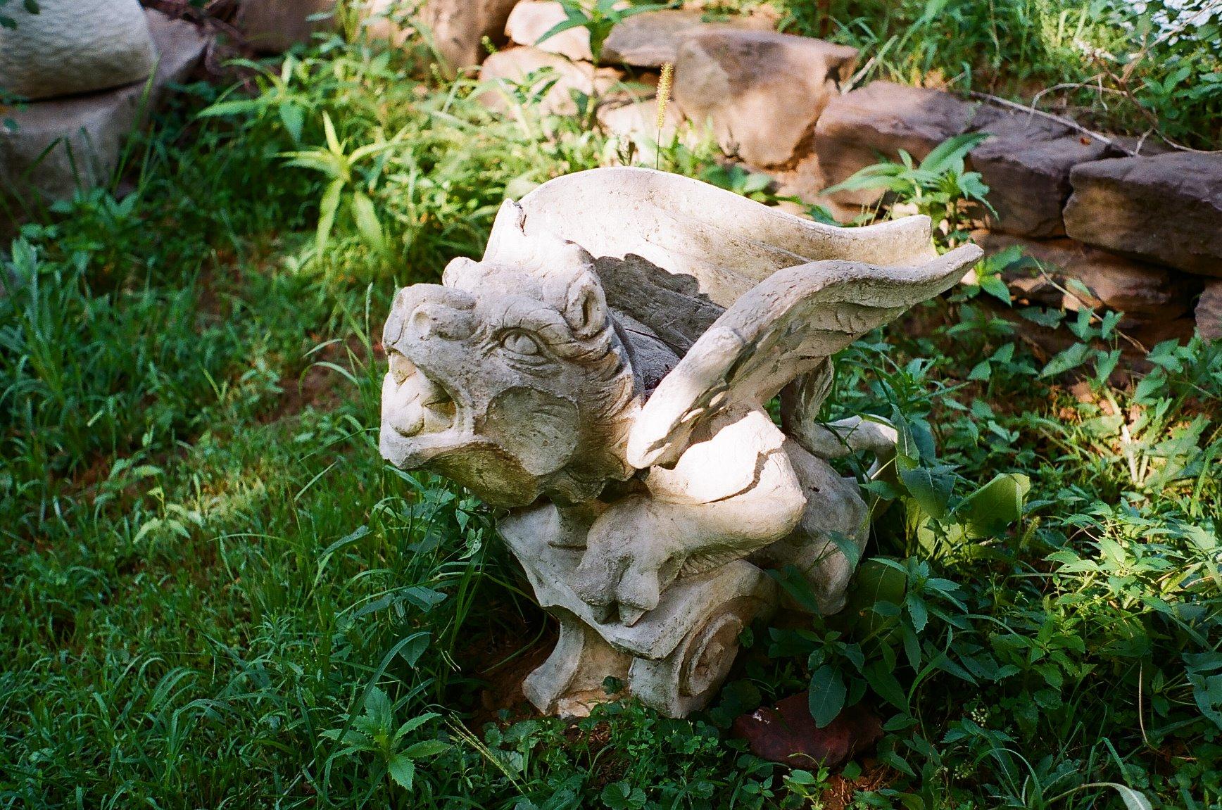 Pentax K1000 Manual Focus SLR Film Camera with Pentax 50mm Lens customer photo 2