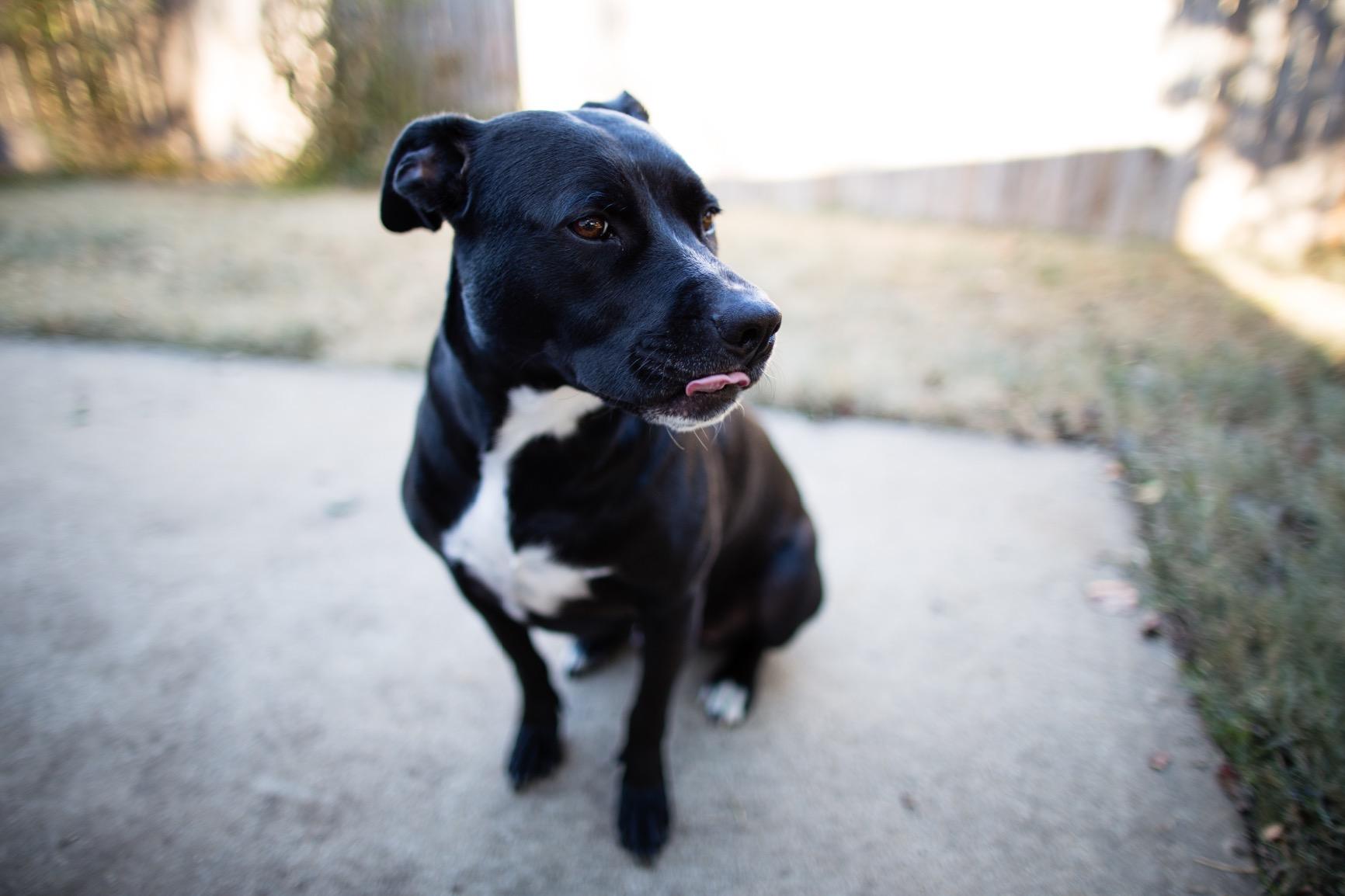 Canon EF 24mm f/1.4L II USM Wide Angle Lens customer photo 2