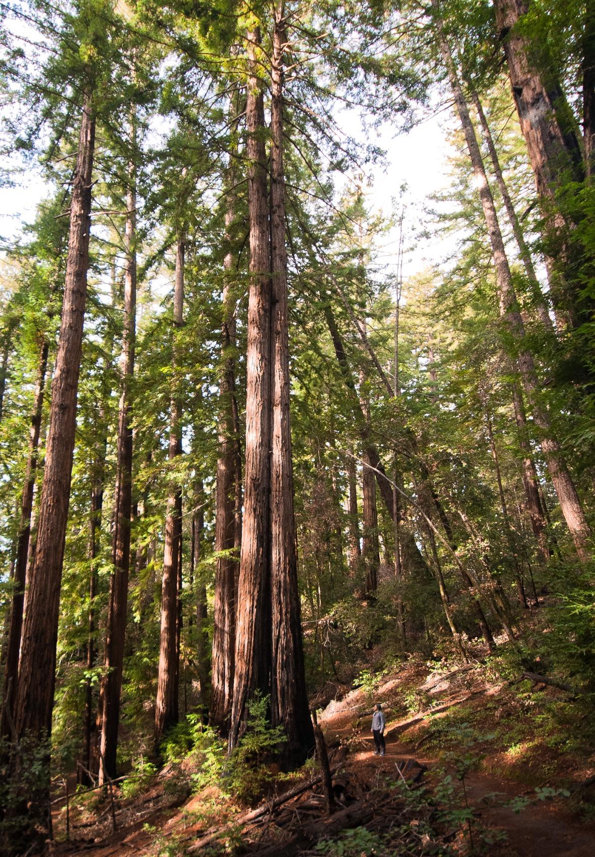 Nikon 10-24mm f/3.5-4.5G ED AF-S DX Nikkor Wide-Angle Zoom Lens for Nikon Digital SLR Cameras customer photo 2