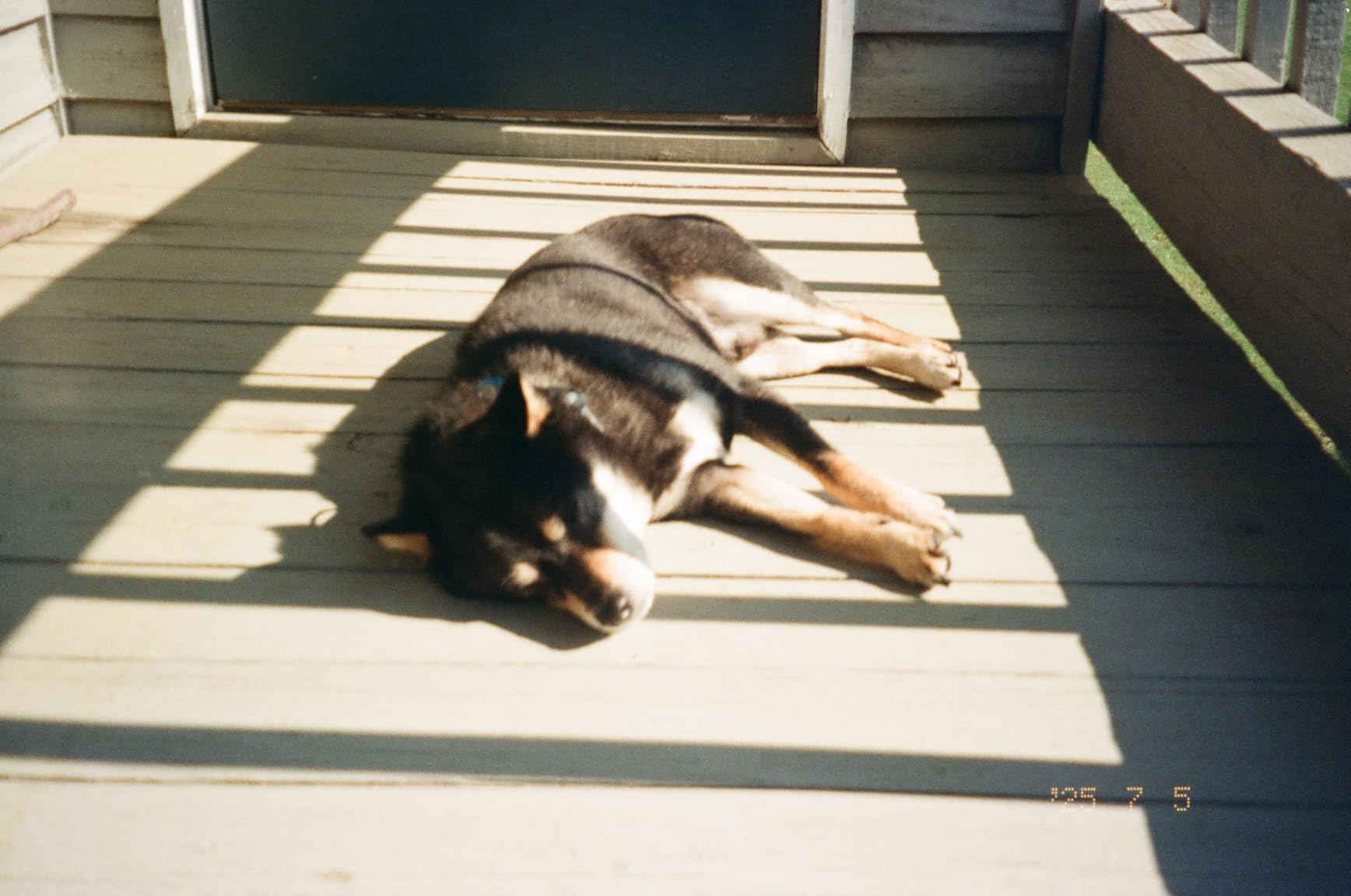 Kodak 6033963 Gold 200 135/24 Film (Pack of 2) customer photo 2