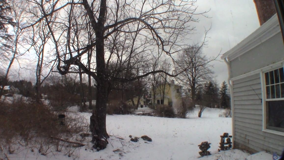 Altura Photo 58MM 0.43x HD Wide Angle Lens with Macro - Attaches to 58MM Filter Thread (Not Camera Body) - DSLR Accessories for Canon Rebel T7, T7i, T8i, T6i, T6s, T6, SL2, SL3, EOS 70D, 77D, 80D, 90D customer photo 2