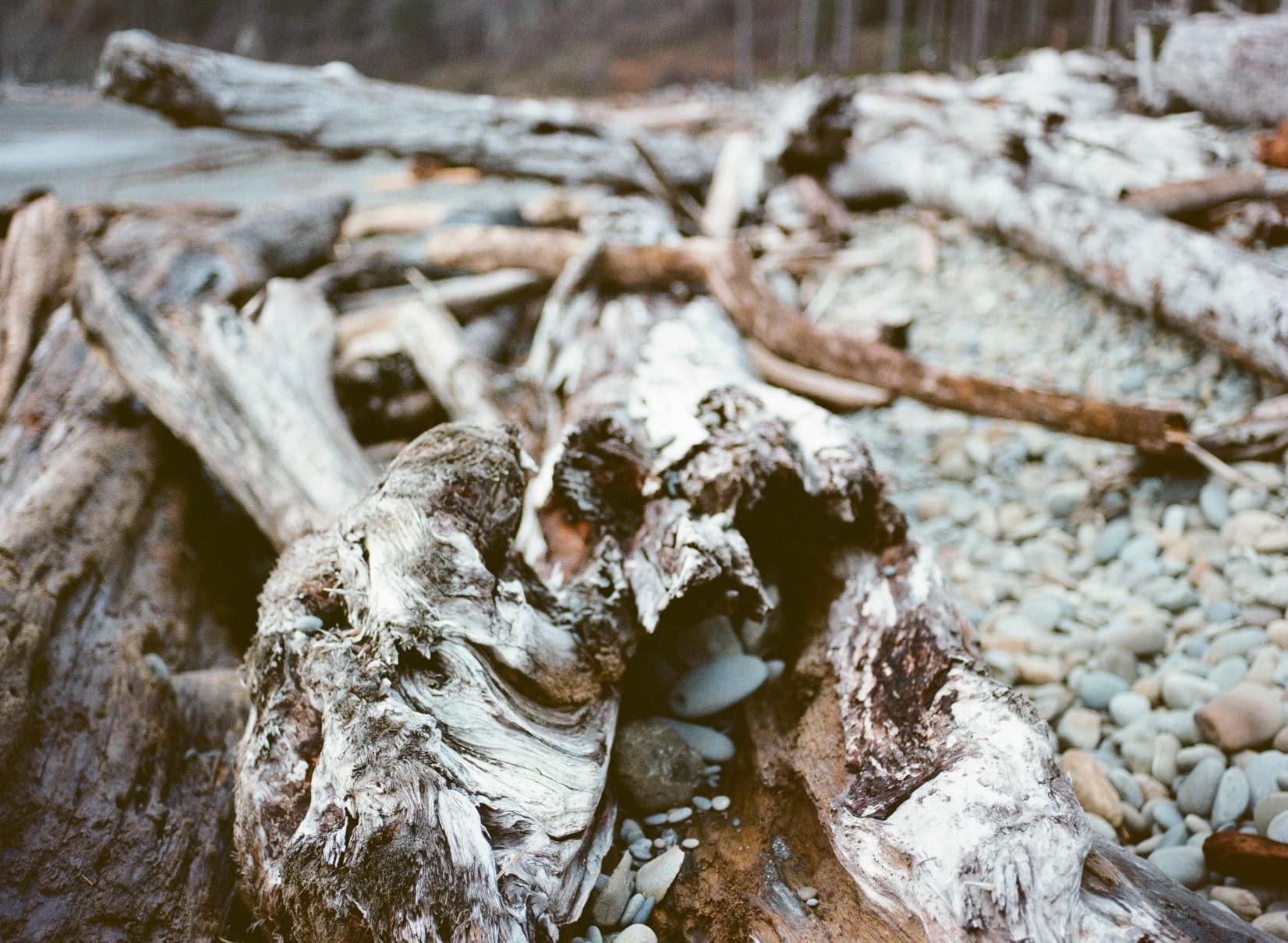 Kodak 120 Portra 400 Film customer photo 1