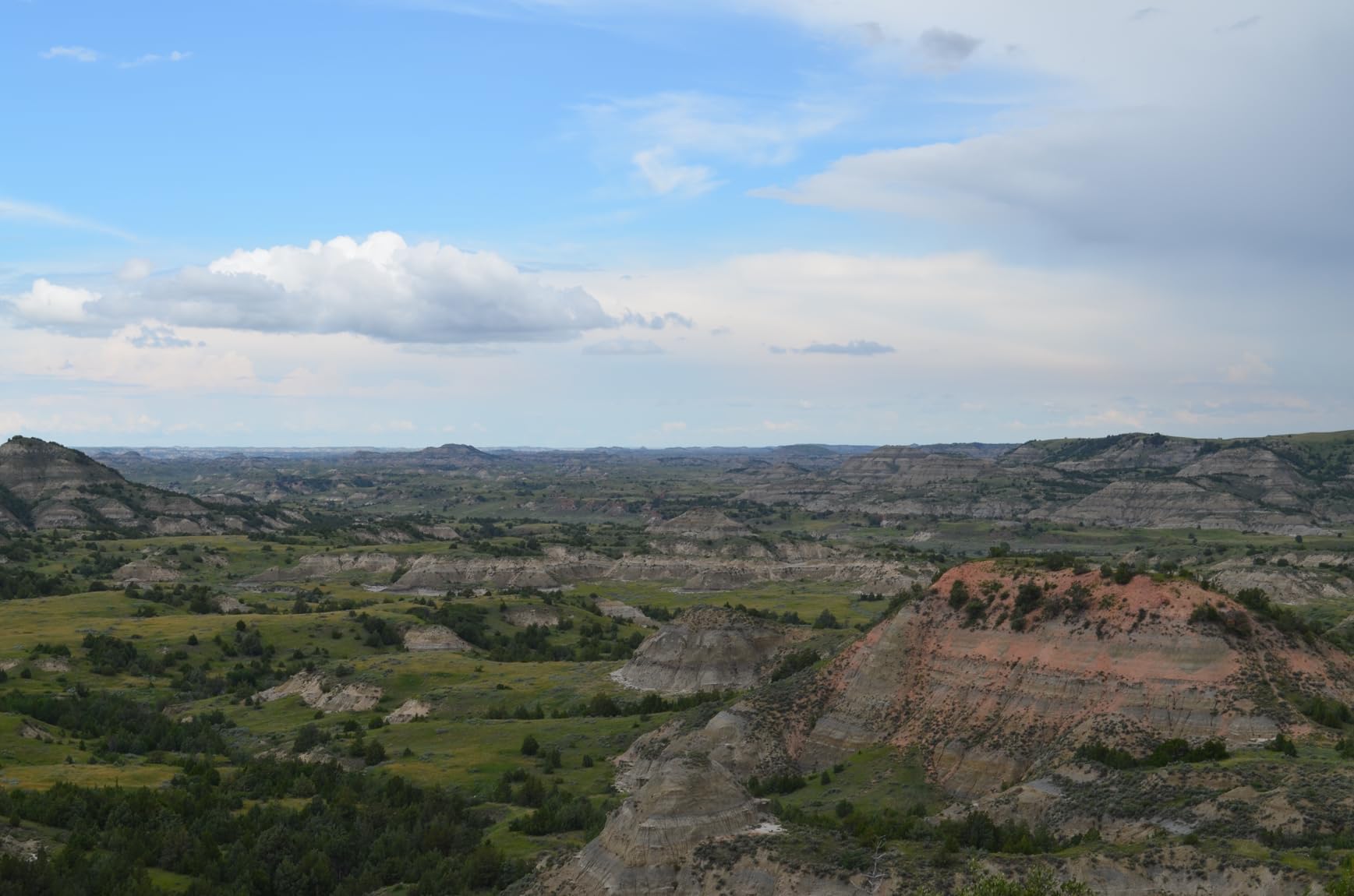 Nikon D5100 16.2MP Digital SLR Camera & 18-55mm VR Lens customer photo 1