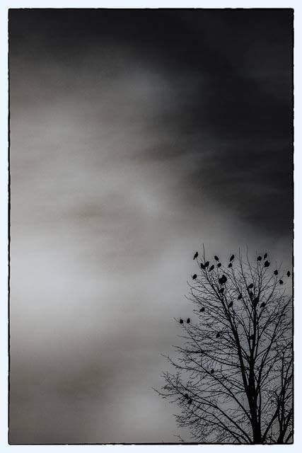 Three Pack of Ilford FP4 Plus 35mm Black & White Negative Film 36 Exp customer photo 1