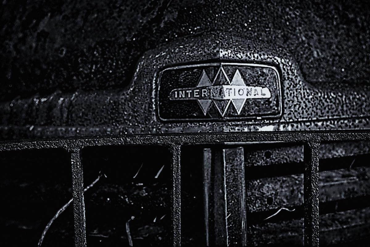 Three Pack of Ilford FP4 Plus 35mm Black & White Negative Film 36 Exp customer photo 2