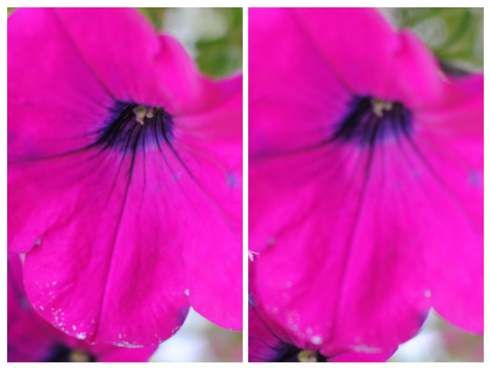 Fotodiox Replacement Split Image Focusing Screen with Micro-Prism for Nikon D3000, D5000 Cameras customer photo 2