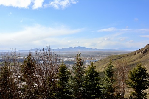 Nikon D7100 24.1 MP DX-Format CMOS Digital SLR (Body Only) customer photo 1