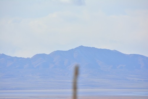 Nikon D7100 24.1 MP DX-Format CMOS Digital SLR (Body Only) customer photo 2