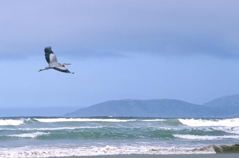 135 PROVIA100F NP 36EX 1 Reverse Film Fujichrome 100F 35mm 36 Sheets 1 customer photo 1