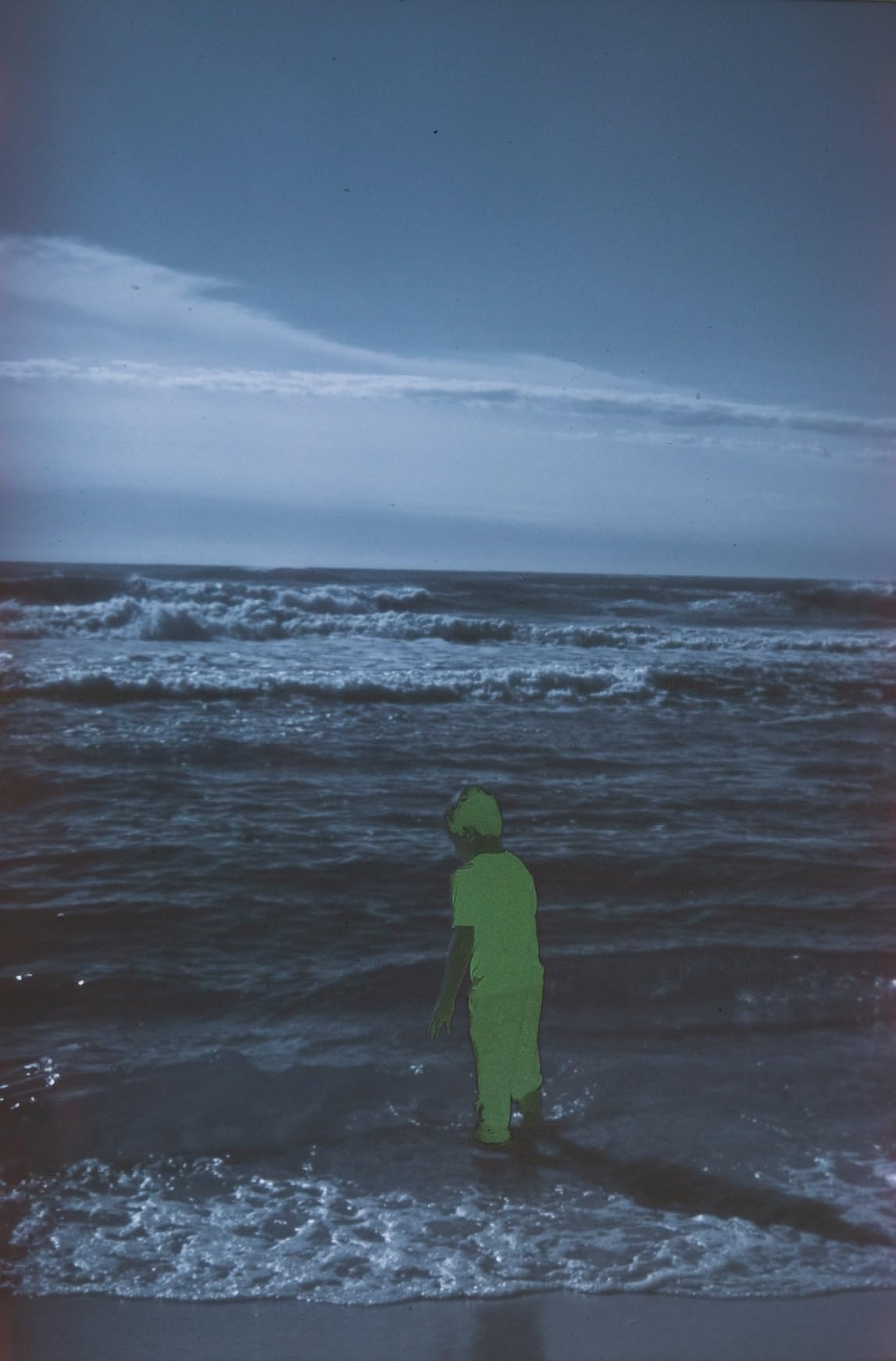 FUJIFILM 120 VELVIA100 EP NP12EX5 Reverse Film Fujichrome Velvia 100 Broney 12 Sheets 5 Packs customer photo 2