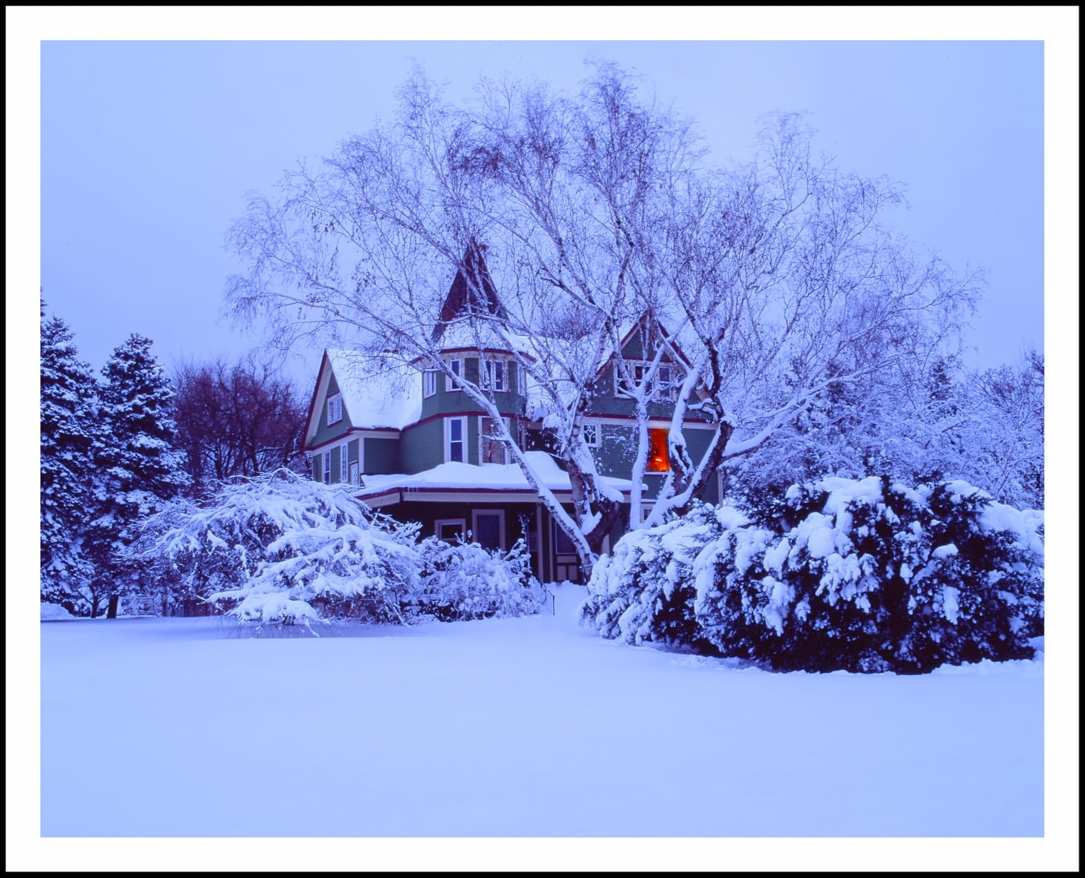 FUJIFILM Reverse Film Fujichrome Velvia 50 Broney 12 Sheets 5 Packs 120 VELVIA50 EP NP 12EX 5 customer photo 1