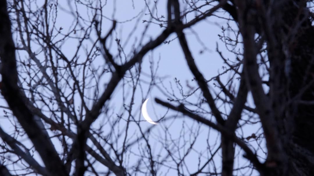 Fujifilm XC 50-230mm F4.5-6.7 OIS II Camera Lens customer photo 1