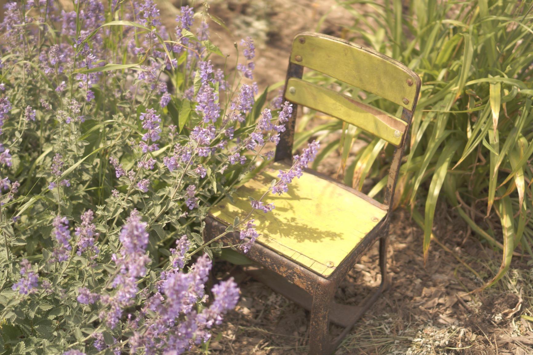 Sony Alpha a6000 Mirrorless Digital Camera 24.3MP SLR Camera with 3.0-Inch LCD - Body Only (Silver) customer photo 1