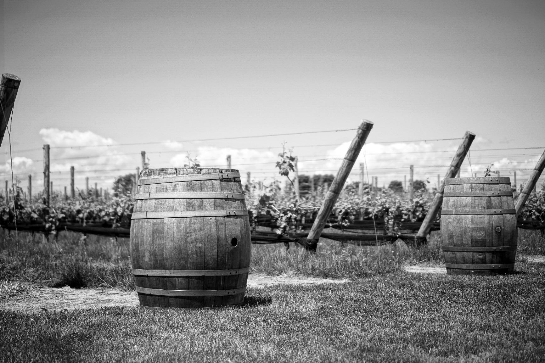 Sony Alpha a6000 Mirrorless Digital Camera 24.3MP SLR Camera with 3.0-Inch LCD - Body Only (Silver) customer photo 2