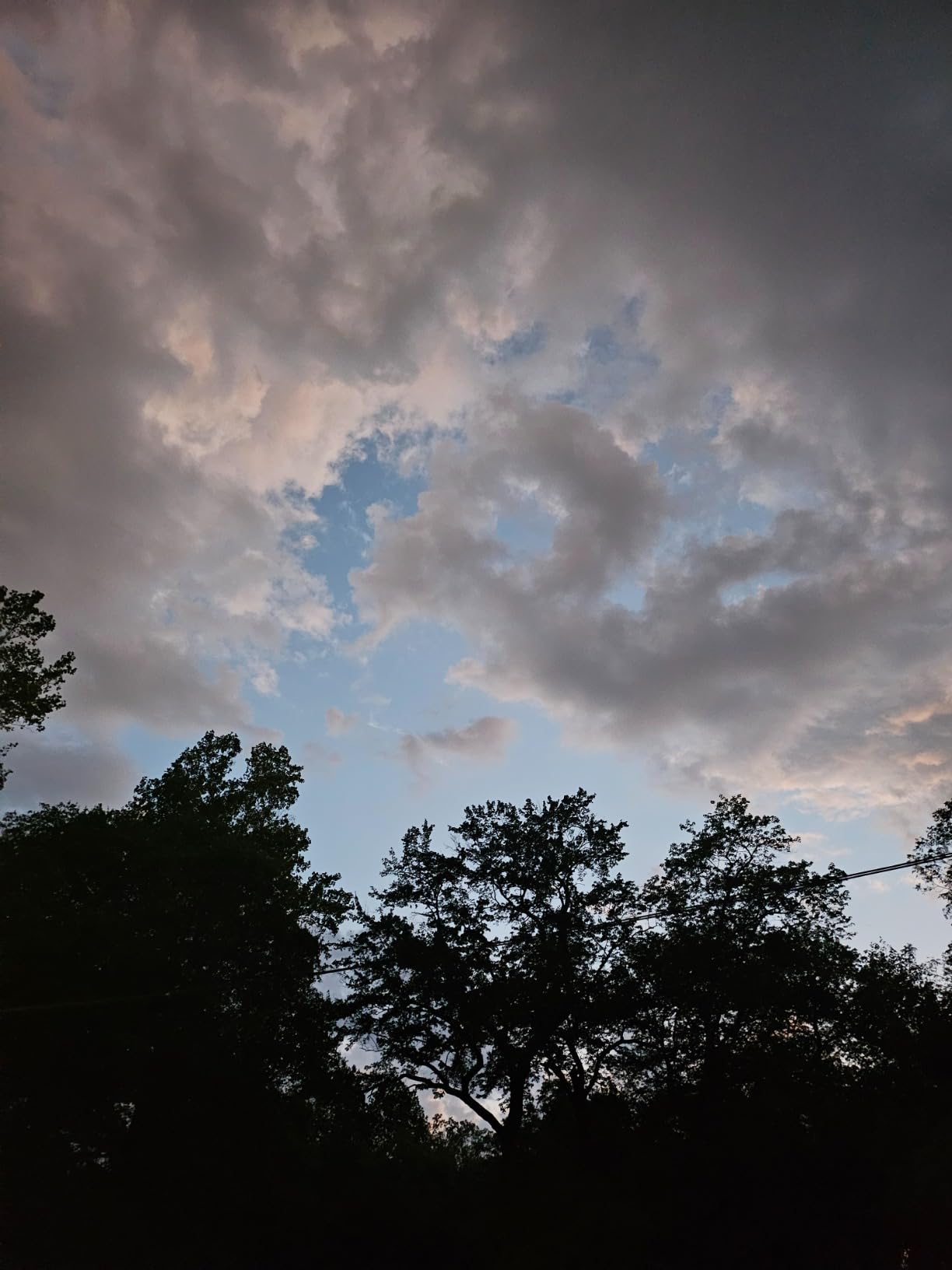 Sony a5100 16-50mm Mirrorless Digital Camera with 3-Inch Flip Up LCD (White) customer photo 2