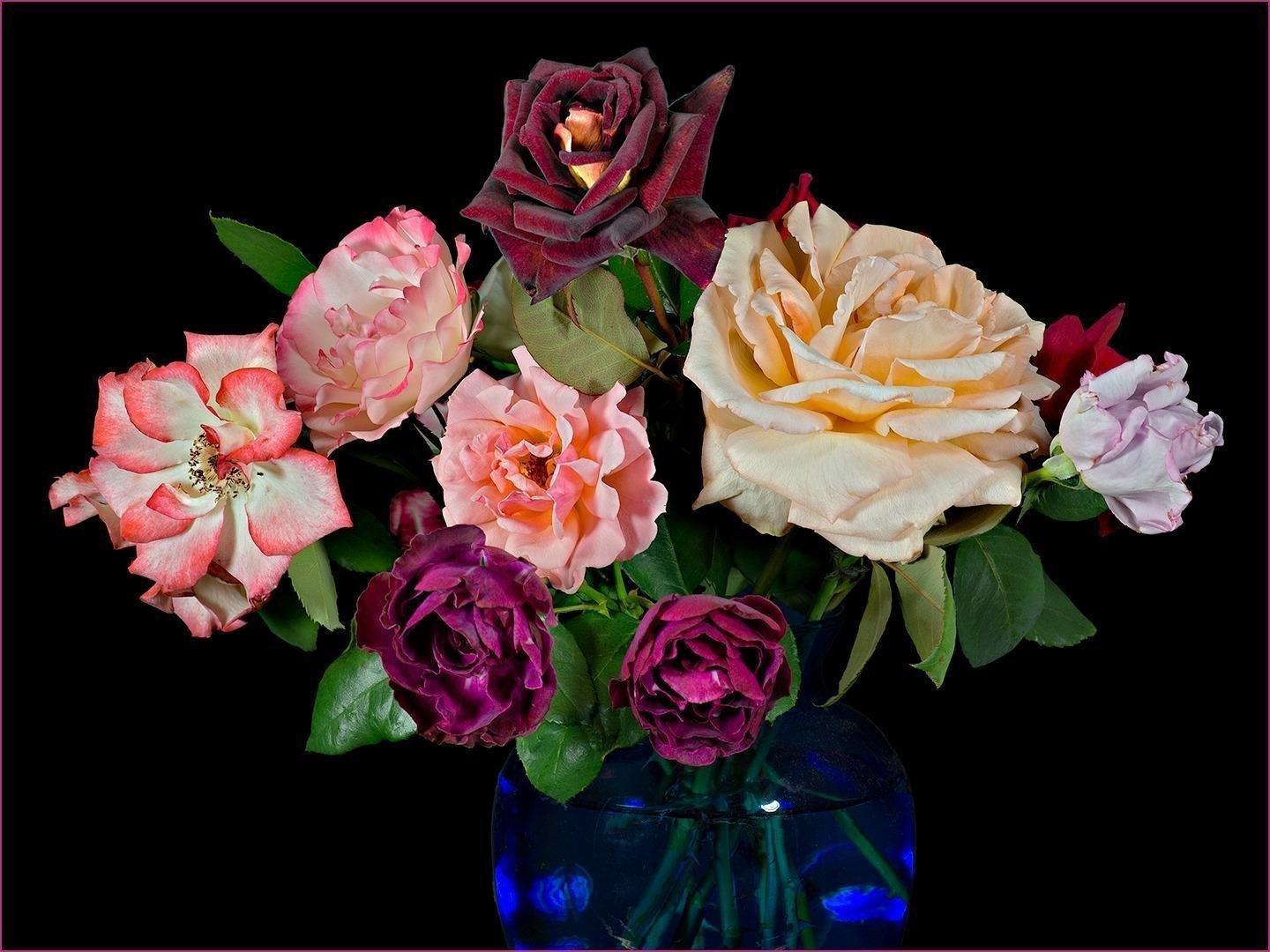 OM SYSTEM Olympus OM-D E-M5 Mark II (Black) (Body Only) customer photo 2