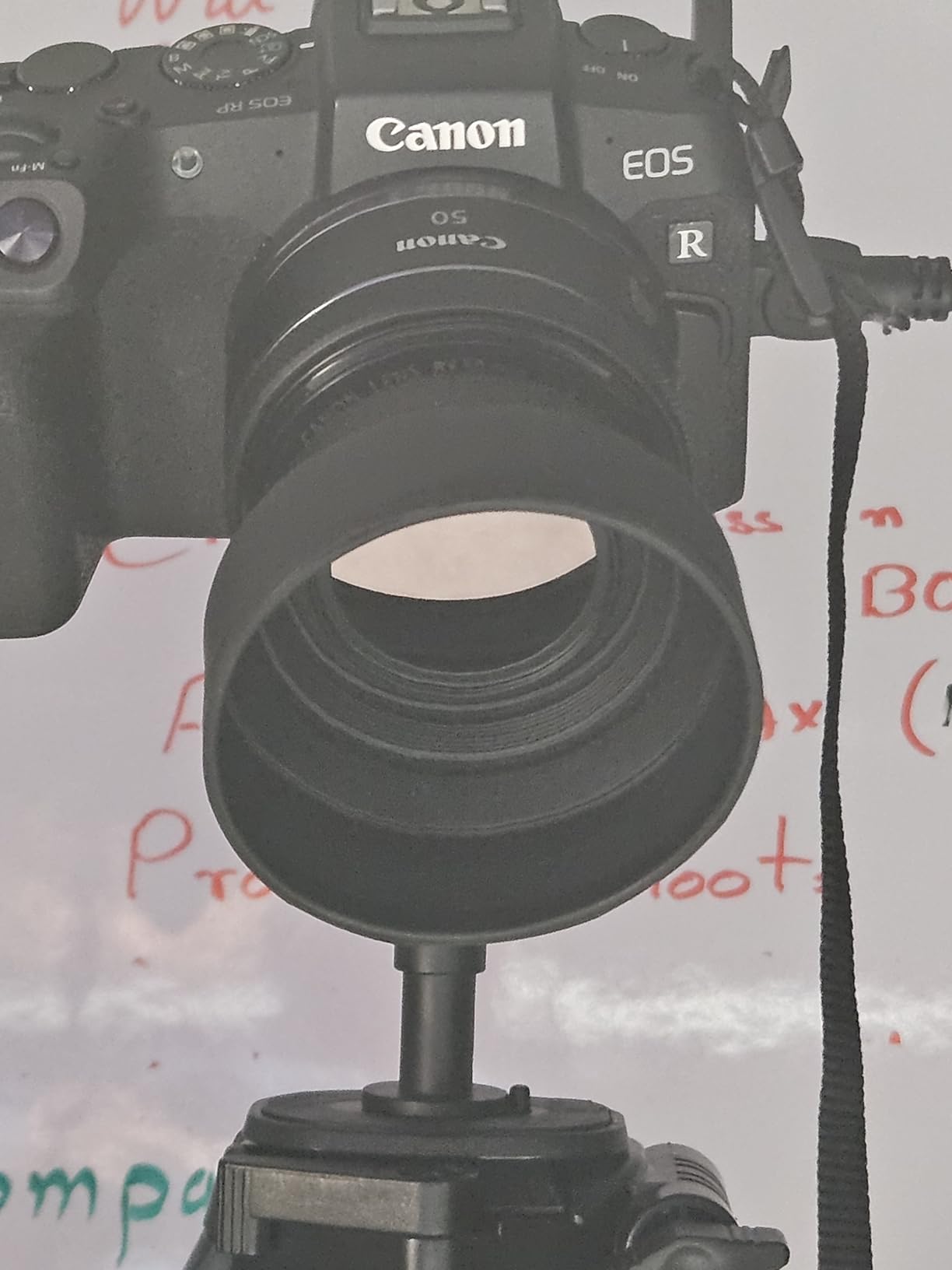 NEEWER 67mm Lens Filter Kit: UV, CPL, FLD, ND2, ND4, ND8, Lens Hood and Lens Cap Compatible with Canon Nikon Sony Panasonic DSLR Cameras with 67mm Lens customer photo 2