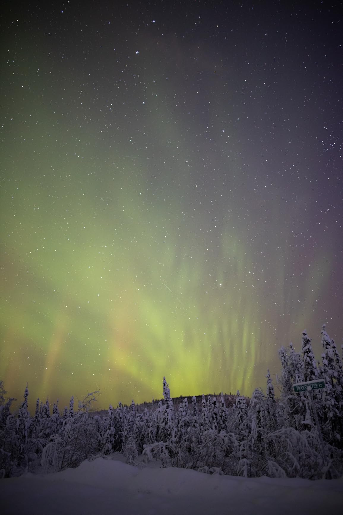 Sigma 24mm f/1.4 DG HSM Art Lens for Nikon F customer photo 2