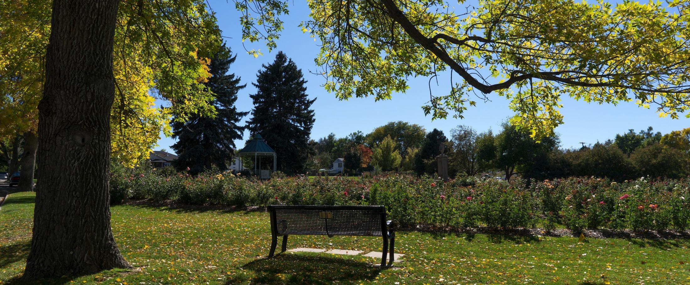 Sony SEL28F20 FE 28mm f/2-22 Standard-Prime Lens for Mirrorless Cameras customer photo 2