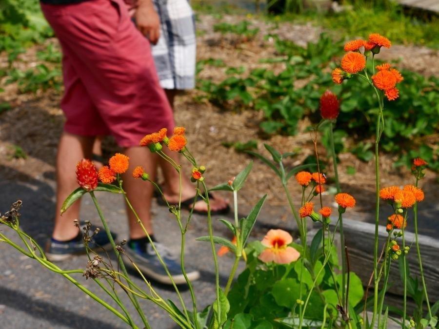 Panasonic LUMIX G7 4K Digital Camera, with 14-42mm Mega O.I.S. Lens, 16 Megapixel Mirrorless Camera, 3-Inch LCD customer photo 2