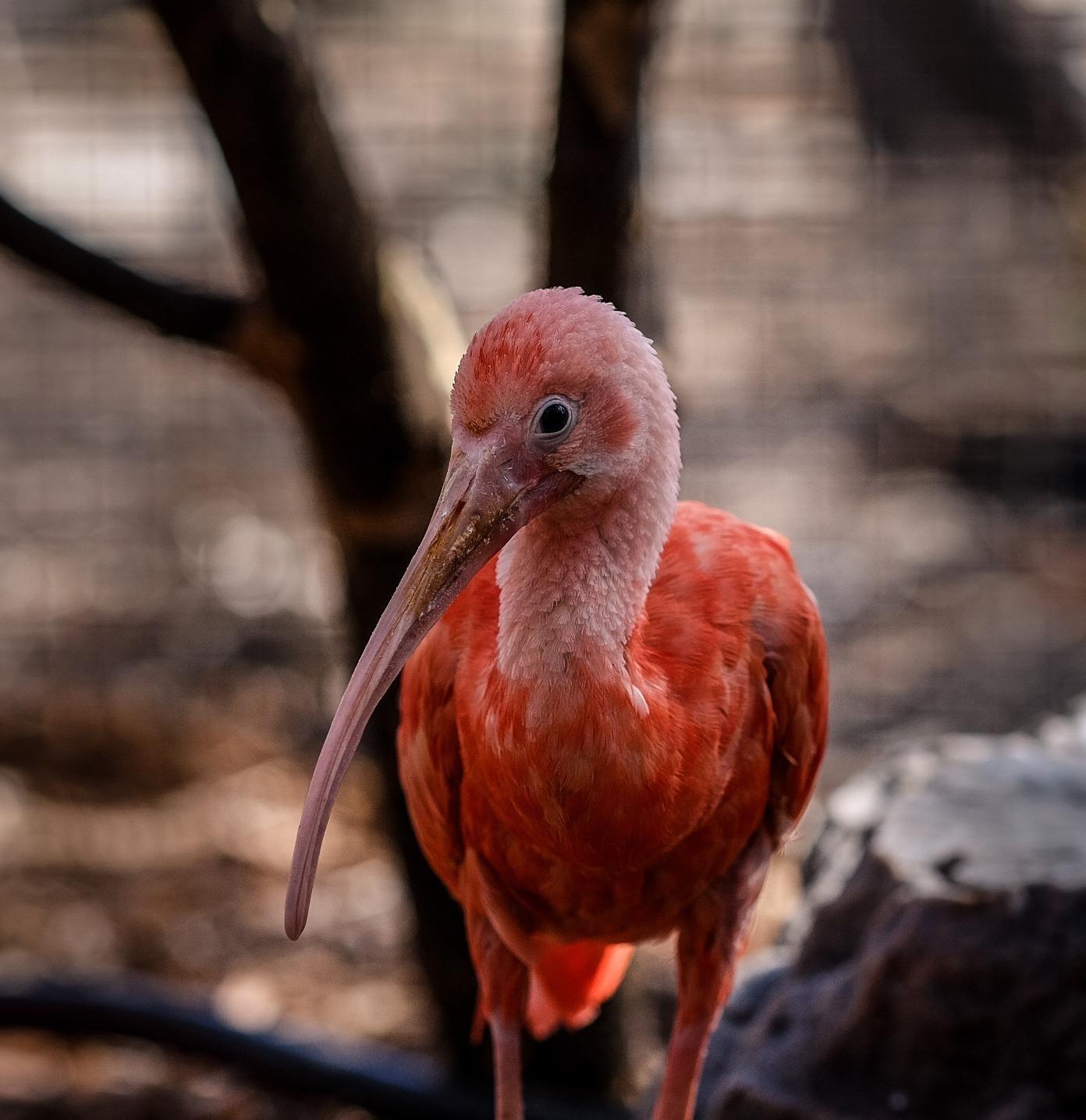 XF90mmF2 R LM WR customer photo 2