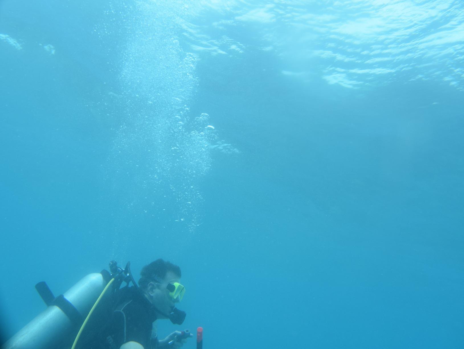 ZONMAN DSLR Camera Universal Waterproof Underwater Housing Case Pouch Bag customer photo 2