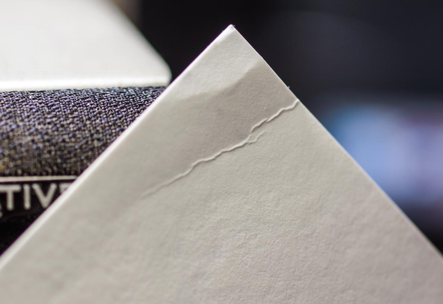 CanonInk Photo Paper, Pro Premium, Matte 13x19 (50 Sheets) (8657B010), White, A4 customer photo 2