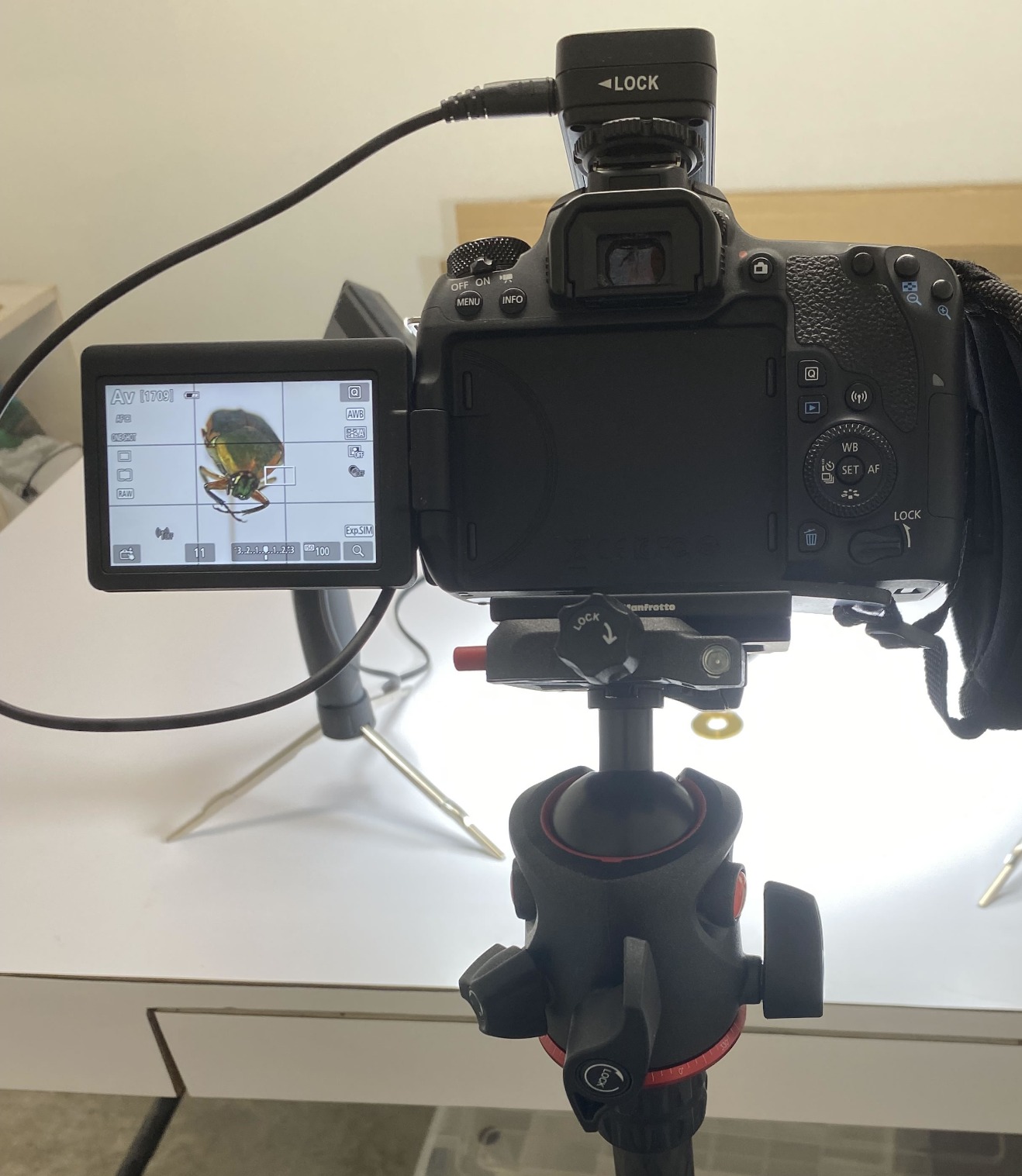 Manfrotto XPRO Magnesium Ball Head with Top Lock Plate (MHXPRO-BHQ6) customer photo 1