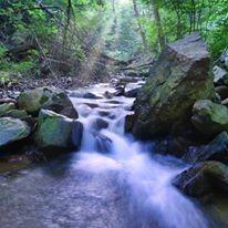 Panasonic LUMIX FZ300 Long Zoom Digital Camera Features 12.1 Megapixel, 1/2.3-Inch Sensor, 4K Video, WiFi, Splash & Dustproof Camera Body, LEICA DC 24X F2.8 Zoom Lens - DMC-FZ300K - (Black) USA customer photo 1