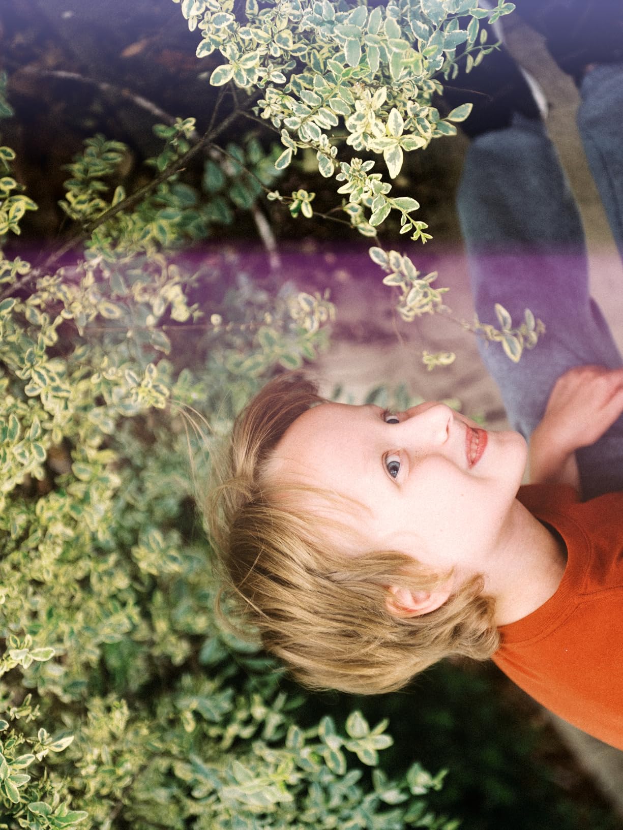 Nikon 24-70mm f/2.8G ED Auto Focus-S Nikkor Wide Angle Zoom Lens (Renewed) customer photo 1