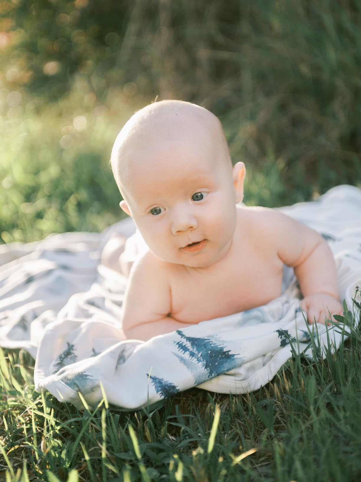 Nikon 24-70mm f/2.8G ED Auto Focus-S Nikkor Wide Angle Zoom Lens (Renewed) customer photo 2