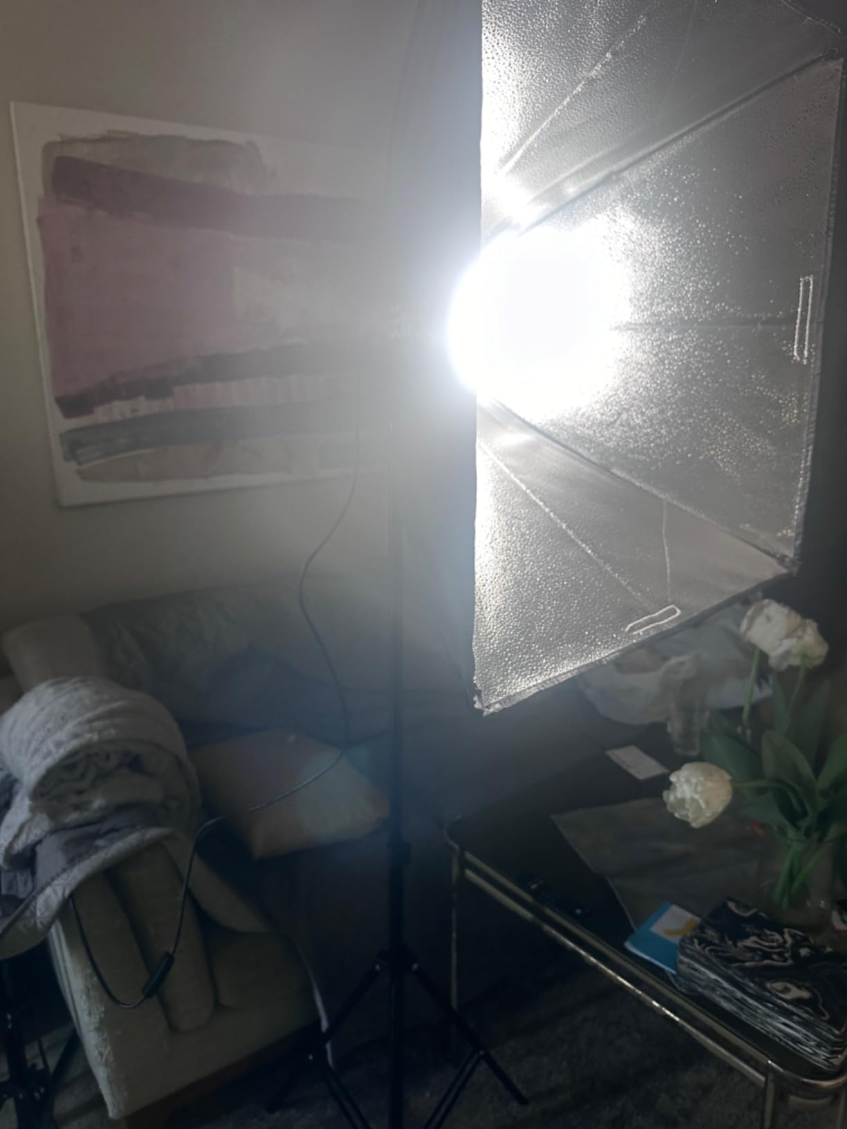 NEEWER 700W Equivalent Softbox Lighting Kit, 2Pack UL Certified 5700K LED Lighting Bulbs, 24x24 inches Softboxes with E26 Socket, Photography Continuous Lighting Kit Photo Studio Equipment customer photo 2