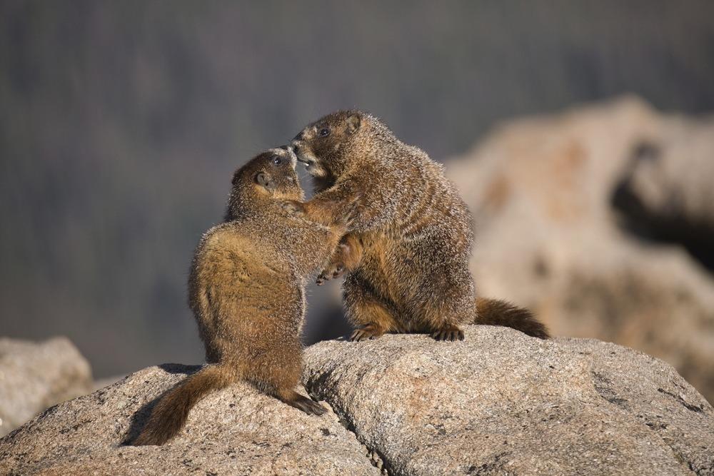 Fujinon XF100-400mmF4.5-5.6 R LM OIS WR customer photo 1