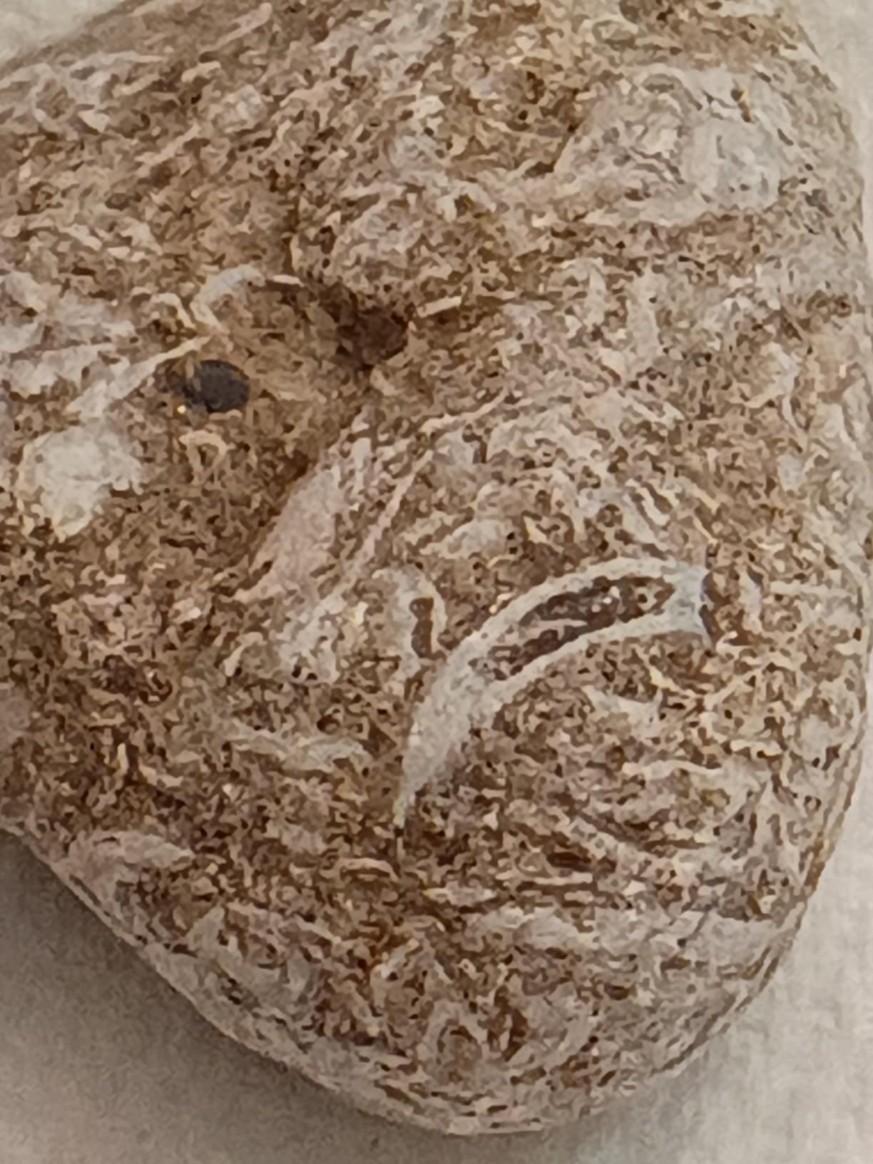 Pro Lens Kit for iPhone and Android, Macro and Wide Angle Lens with LED Light and Travel Case customer photo 1