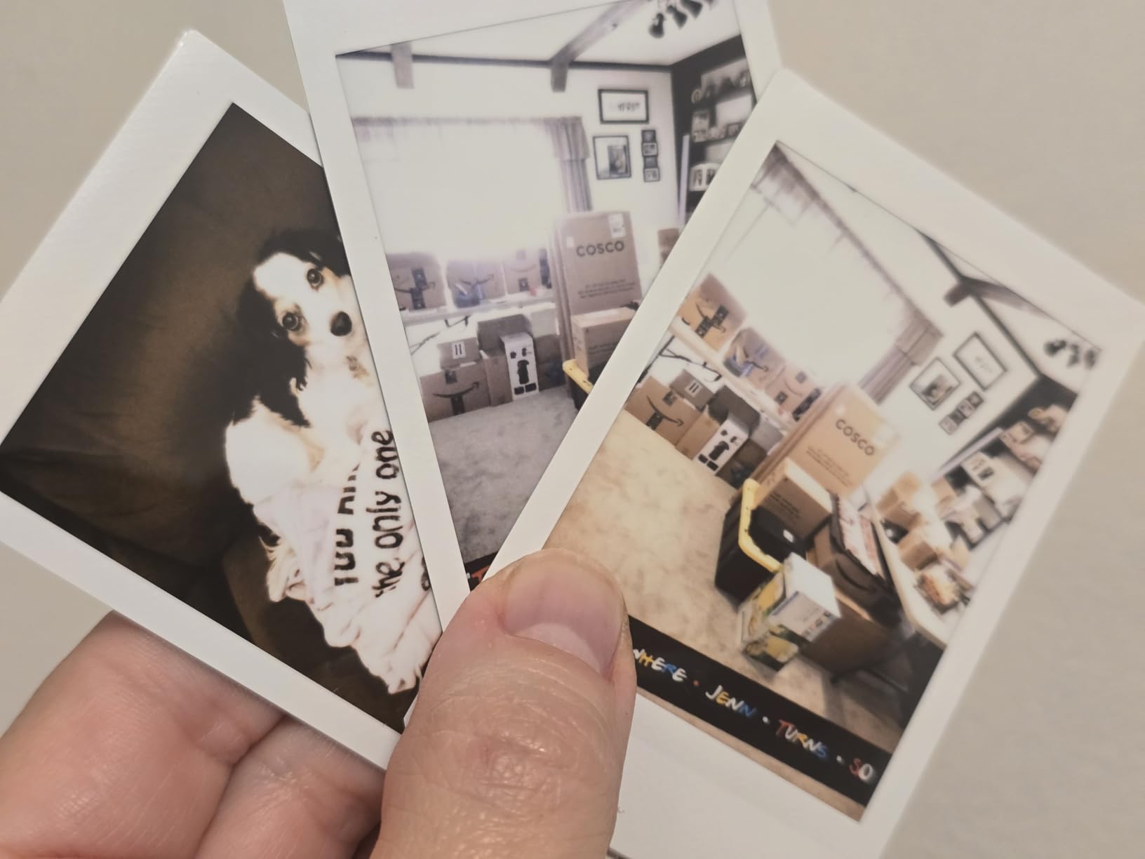 Fujifilm Instax Mini Instant Film, 10 Sheets x 5 Packs (Total 50 Shoots) customer photo 1