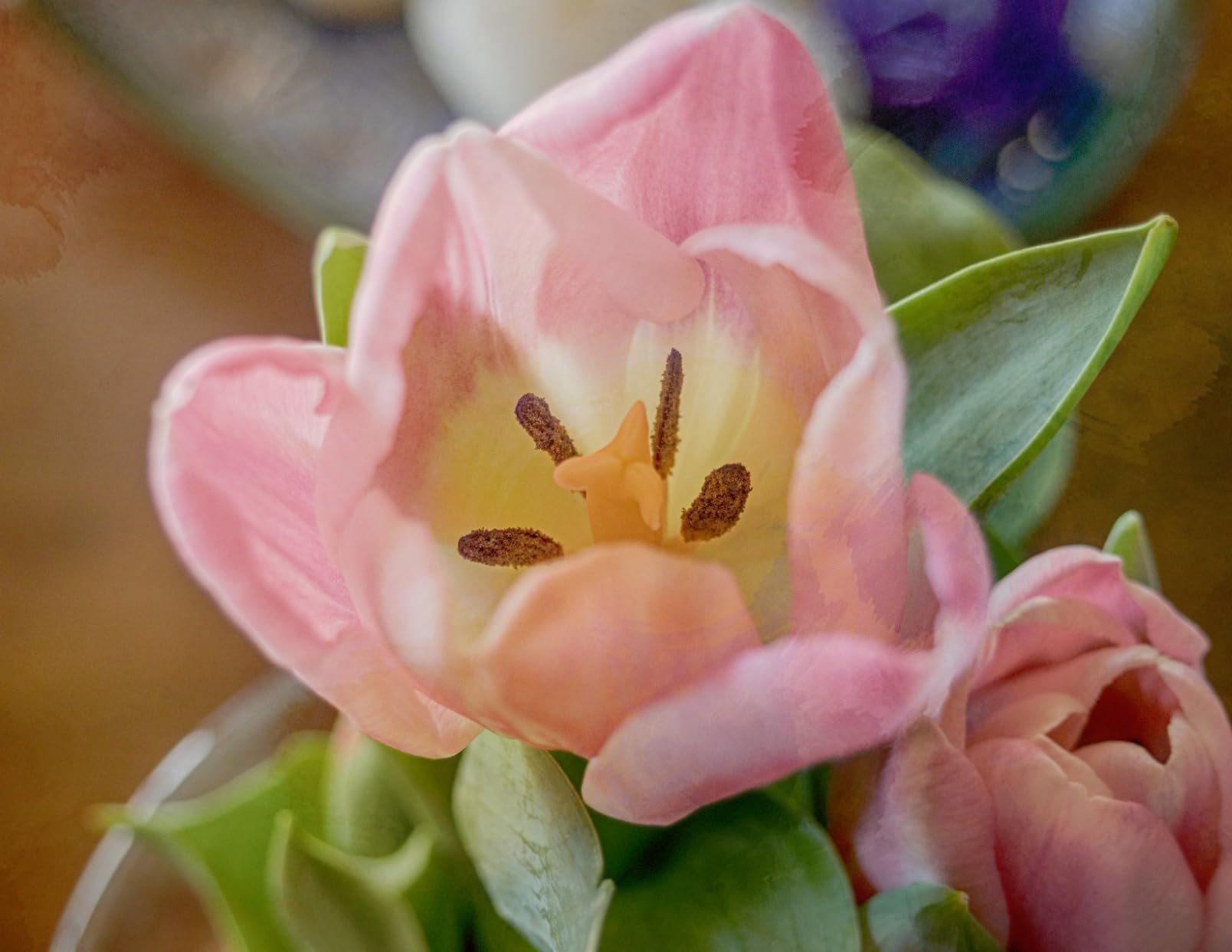 OM SYSTEM Olympus M.Zuiko Digital ED 30mm F3.5 Macro for Micro Four Thirds System Camera, Compact Macro Lens, 1.25x Image Maginification customer photo 1