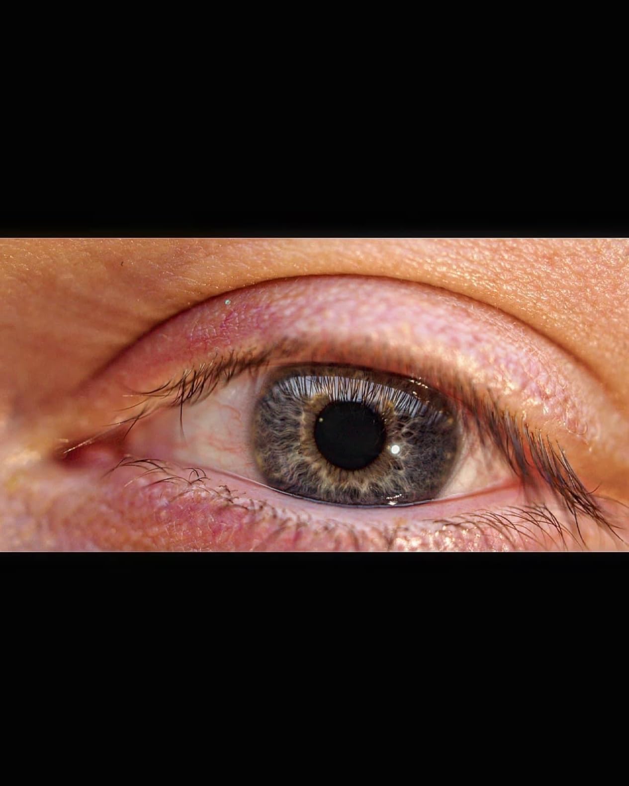 OM SYSTEM Olympus M.Zuiko Digital ED 30mm F3.5 Macro for Micro Four Thirds System Camera, Compact Macro Lens, 1.25x Image Maginification customer photo 2