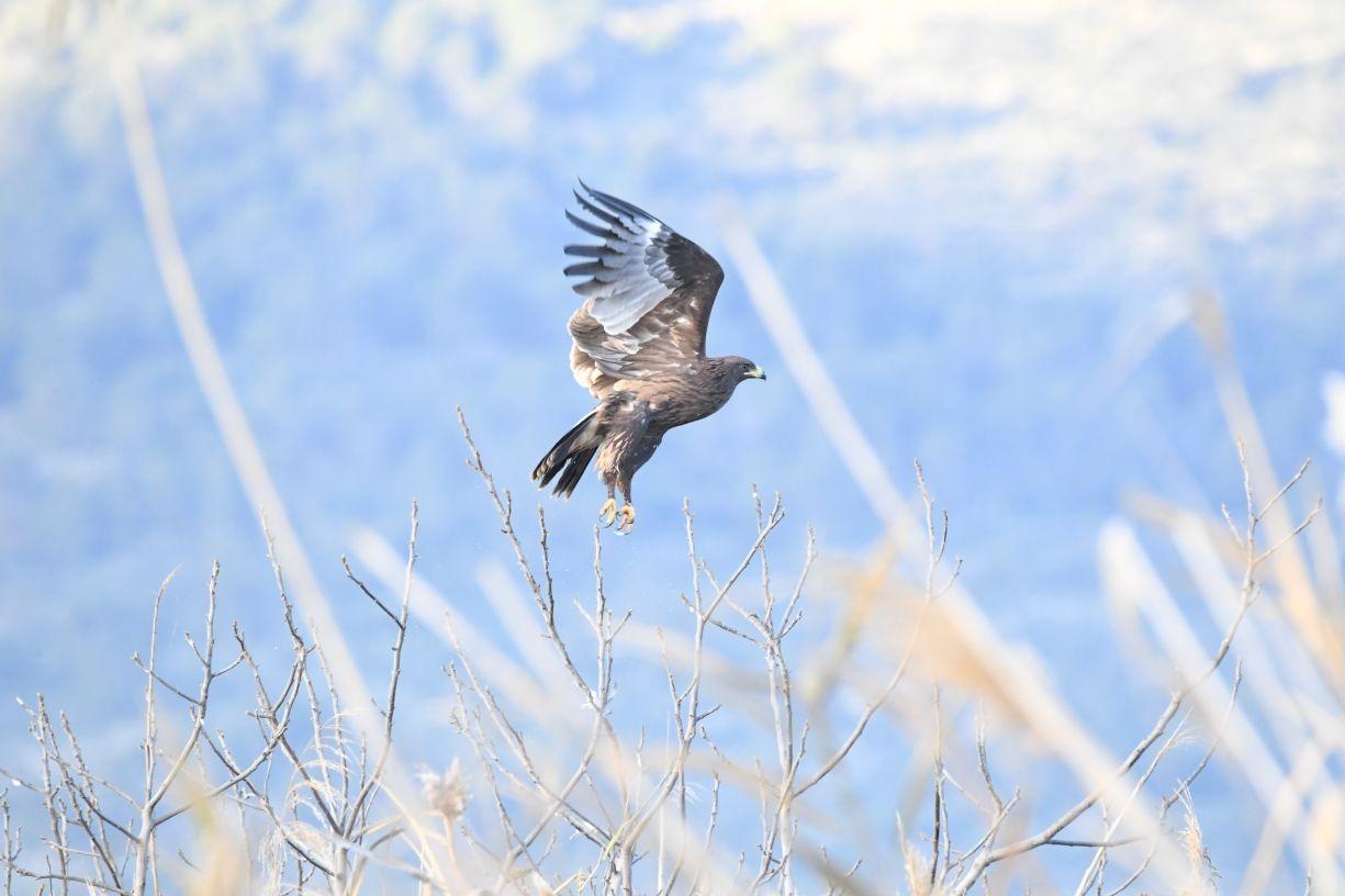 Tamron Tap-In-Console For Nikon, Black customer photo 1