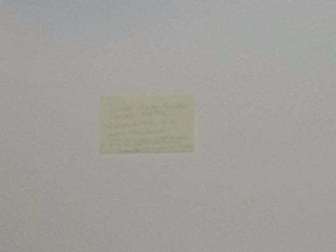 Hasselblad True Zoom Camera Mod customer photo 1