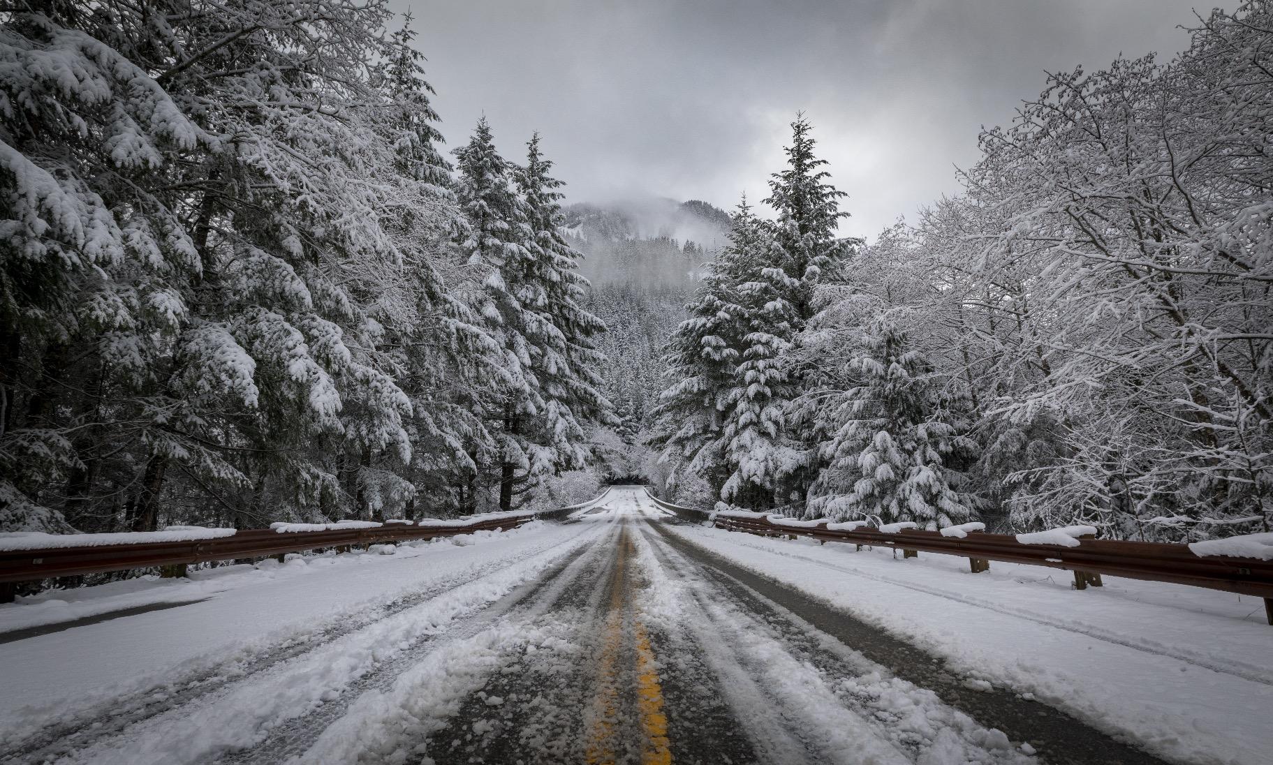 Canon EF 16-35mm f/2.8L III USM Lens customer photo 2