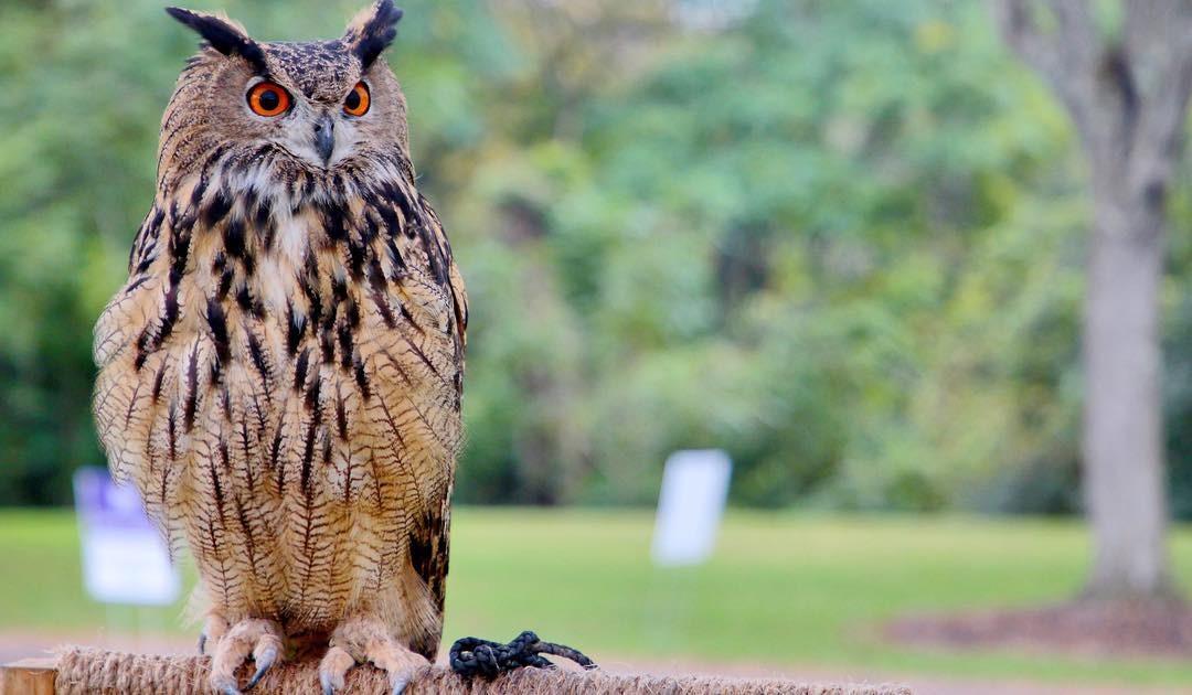 Canon EF 24-105mm f/4L IS II USM Lens customer photo 1