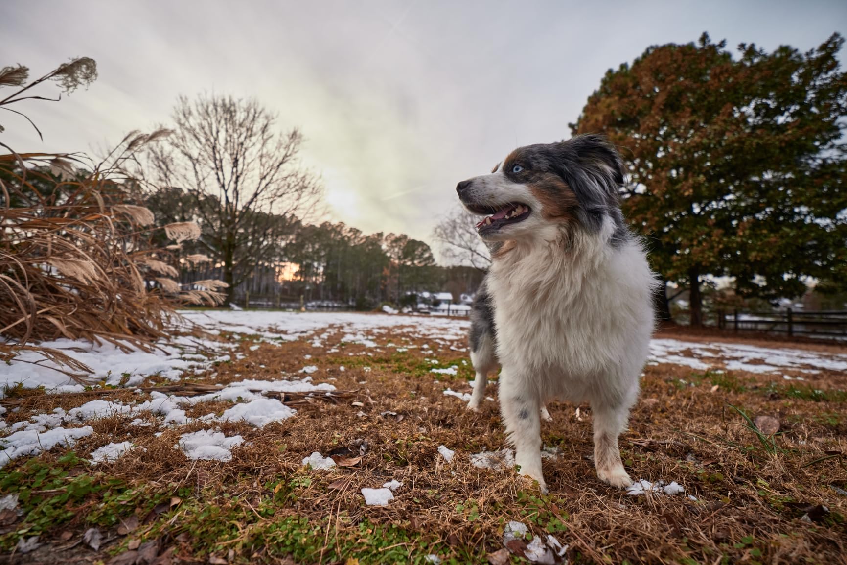 Rokinon AF 14mm F2.8 Ultra Wide Lens for Sony E customer photo 2