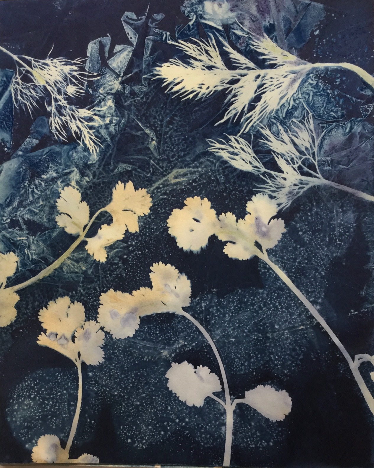 HahnemhlePlatinum Rag Fine Art Paper (8 x 10