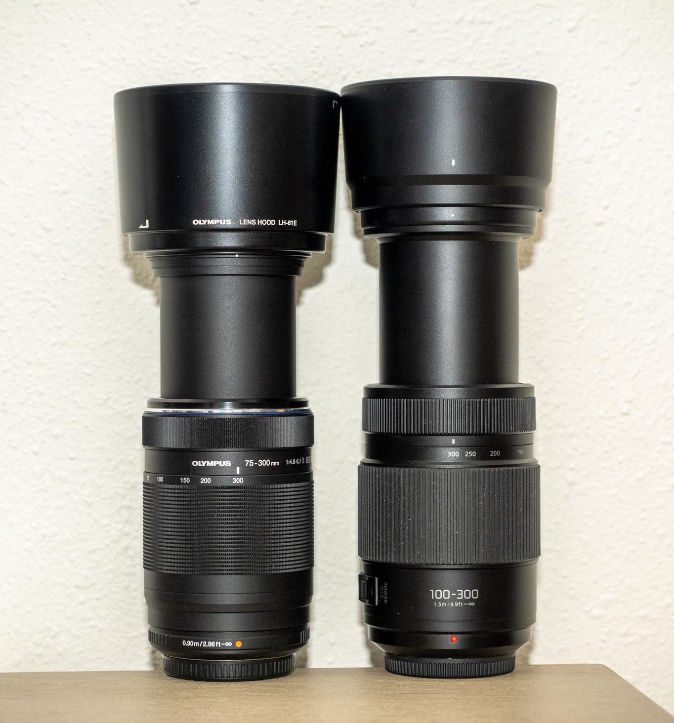 Panasonic LUMIX G II Vario Lens, 100-300MM, MIRRORLESS Micro Four Thirds, Power O.I.S, H-FSA100300 (USA Black) customer photo 1